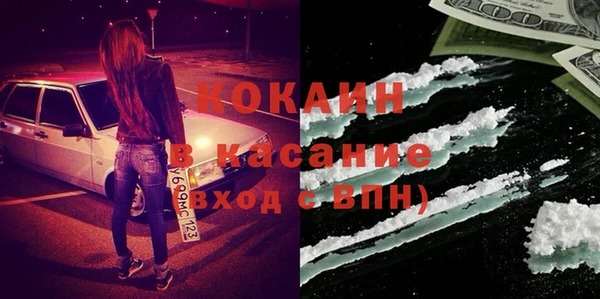 гидра Белокуриха