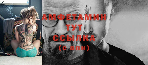 гидра Белокуриха