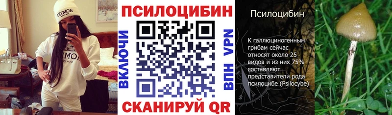Галлюциногенные грибы мухоморы  купить   Светлогорск 